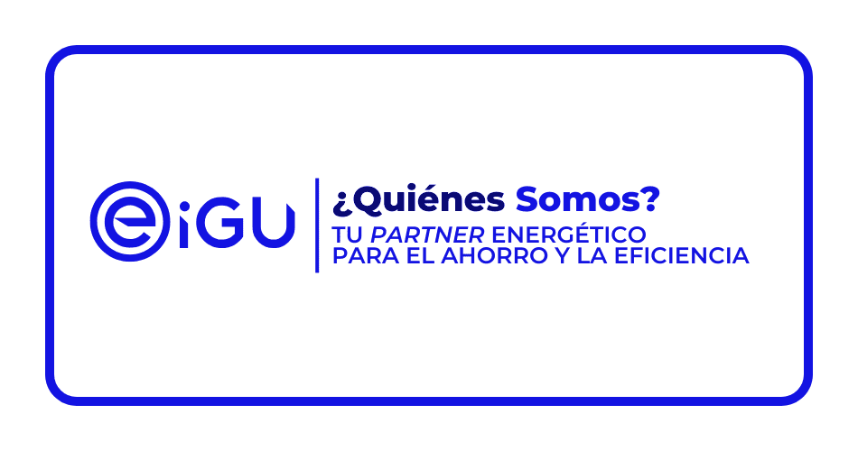 E-iGU Consultora